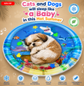 Pet Cooling Water Bed Anti-Scratch Summer Mat